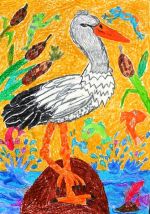 Sárová Daniela.jpg